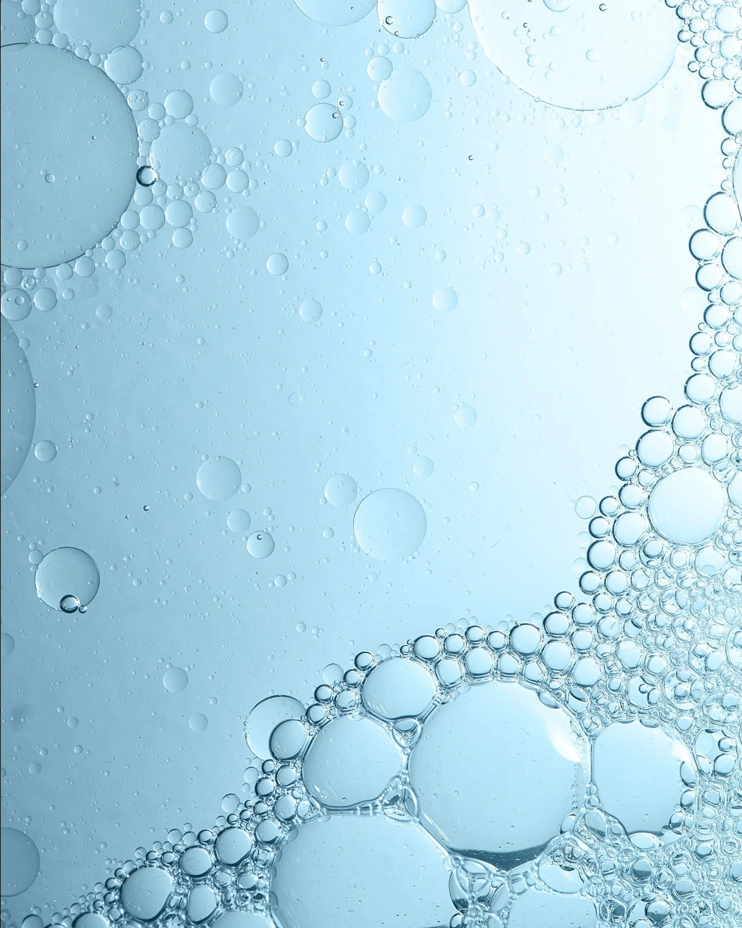 The Lotion N°2 - 200ML