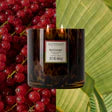 22.7 oz Red Currant Tortoise Candle